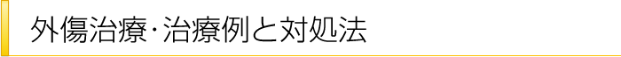 外傷治療・治療例と対処法